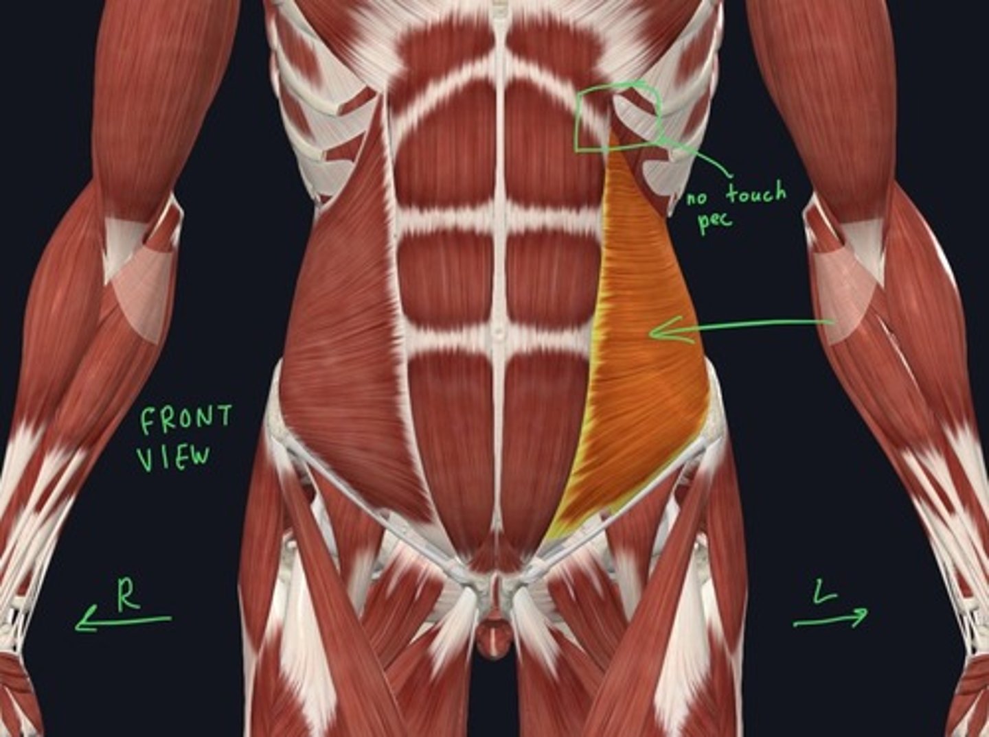 knowt flashcard image