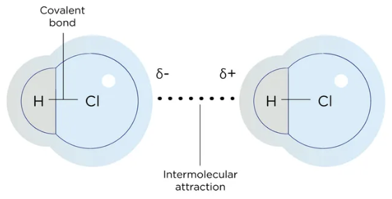 <p>The attractive forces between molecules increases when functional groups containing electronegative atoms, such as chlorine, oxygen, and nitrogen are present because these atoms are more electronegative than carbon</p><p>Electronegative atoms pull electrons toward themselves, making their end of the bond slightly negatively charged (δ-) and leaving the carbon slightly positively charged (δ+)</p><p>Electronegative atoms pull electrons towards themselves</p><p>Permanent dipole</p>