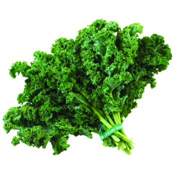 <p>Kale</p>