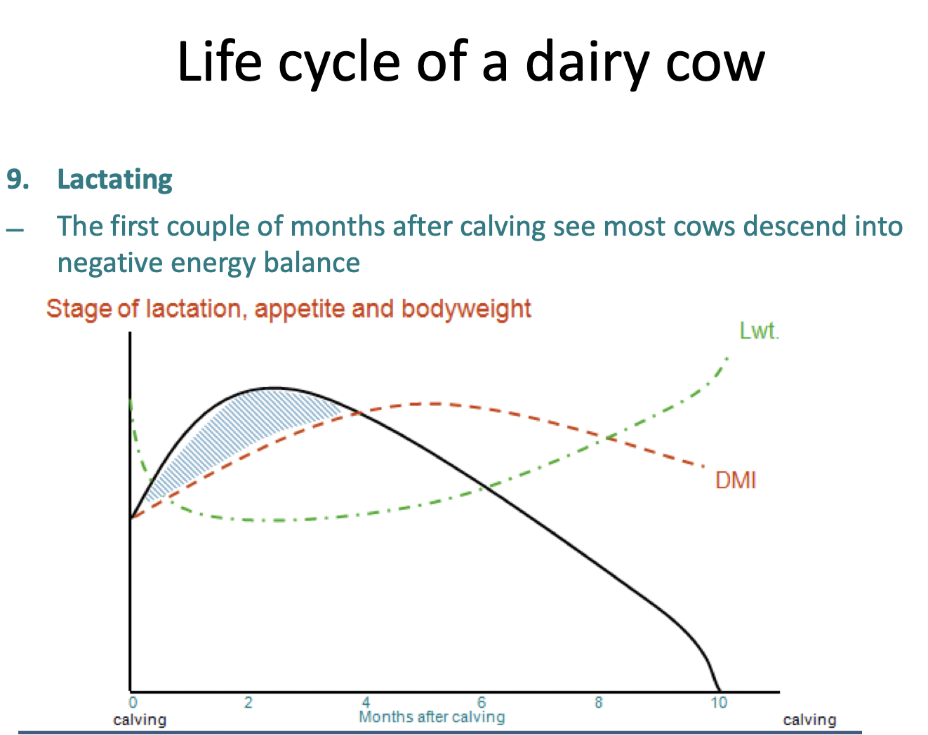 <p>DESCRIBE THIS GRAPH </p><p></p>