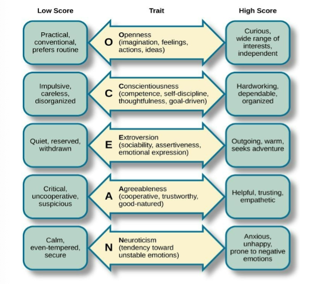 <p>Each trait is scored on a continuum </p><ul><li><p>O- Openness to experience </p></li><li><p>C - Conscientiousness</p></li><li><p>E - Extroversion</p></li><li><p>A - Agreeableness</p></li><li><p>N- Neuroticism</p></li></ul><p>(OCEAN) </p>