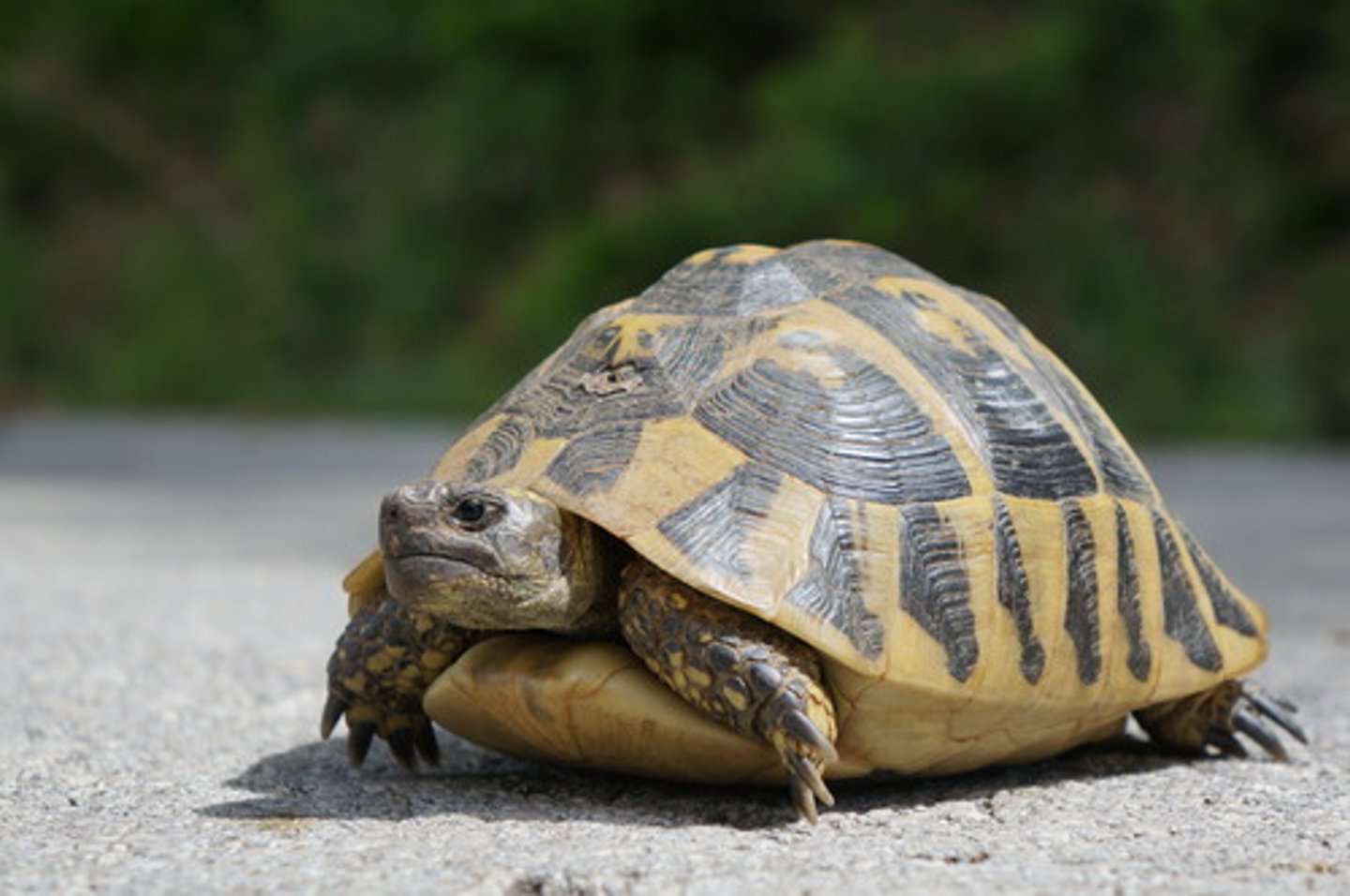 <p>to slow down</p>