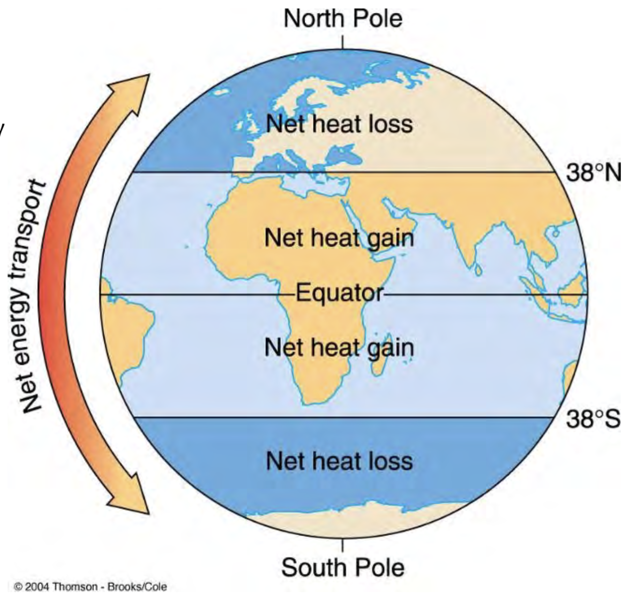 <p>Transfer of heat from the tropics towards the poles, moderates global temperatures</p>