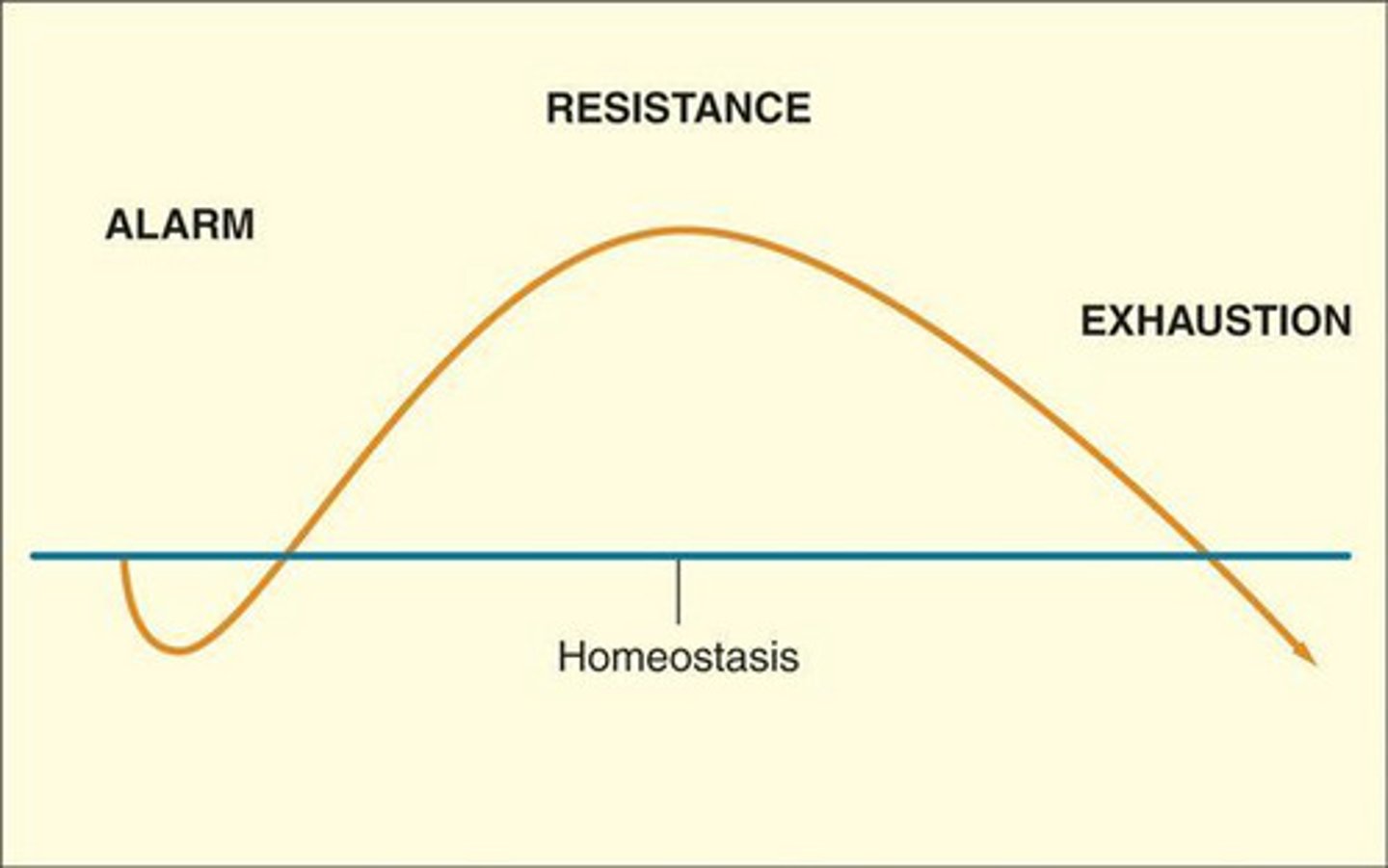 <p>Selye's concept of the body's adaptive response to stress in three phases—alarm, resistance, exhaustion.</p>