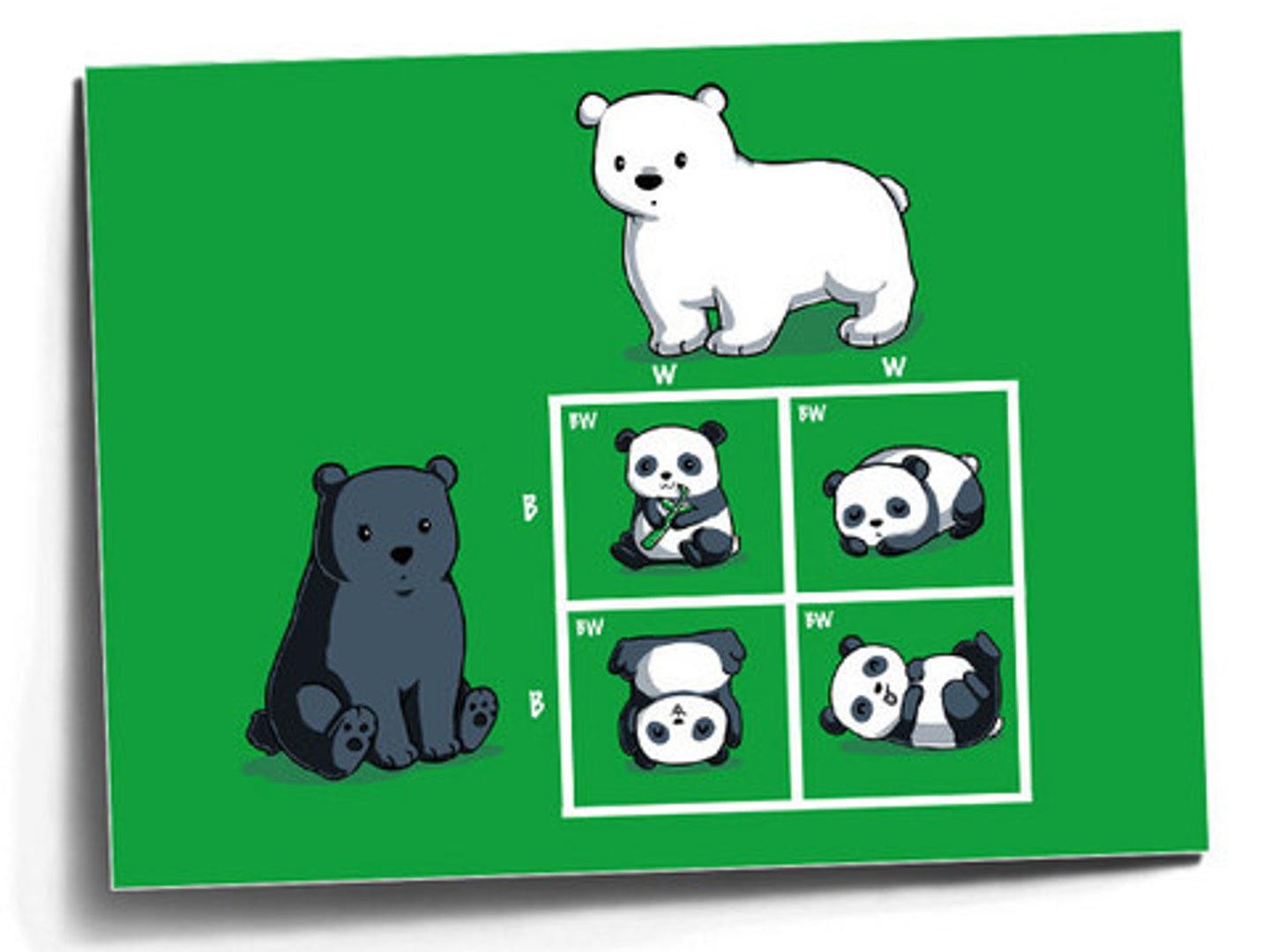 <p>The alleles do not dominent one over another,</p><p>they make combination, a mixture.</p><p>Both alleles in the genotype are seen in the phenotype.</p>