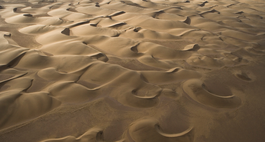 <p>What are barchan dunes?</p>