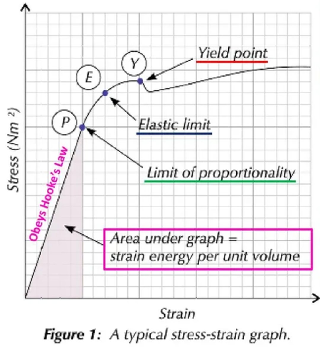 <p>At the limit of proportionality the material no longer obeys Hooke's law.</p>