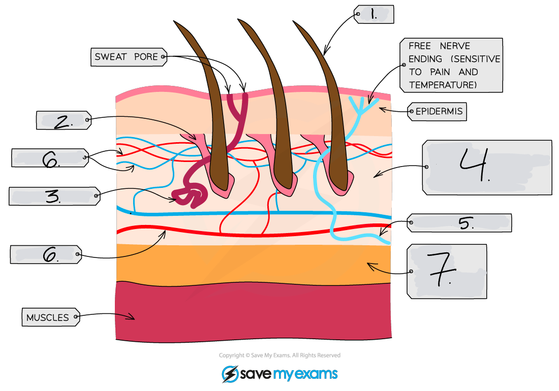 <p>What is 1?</p>