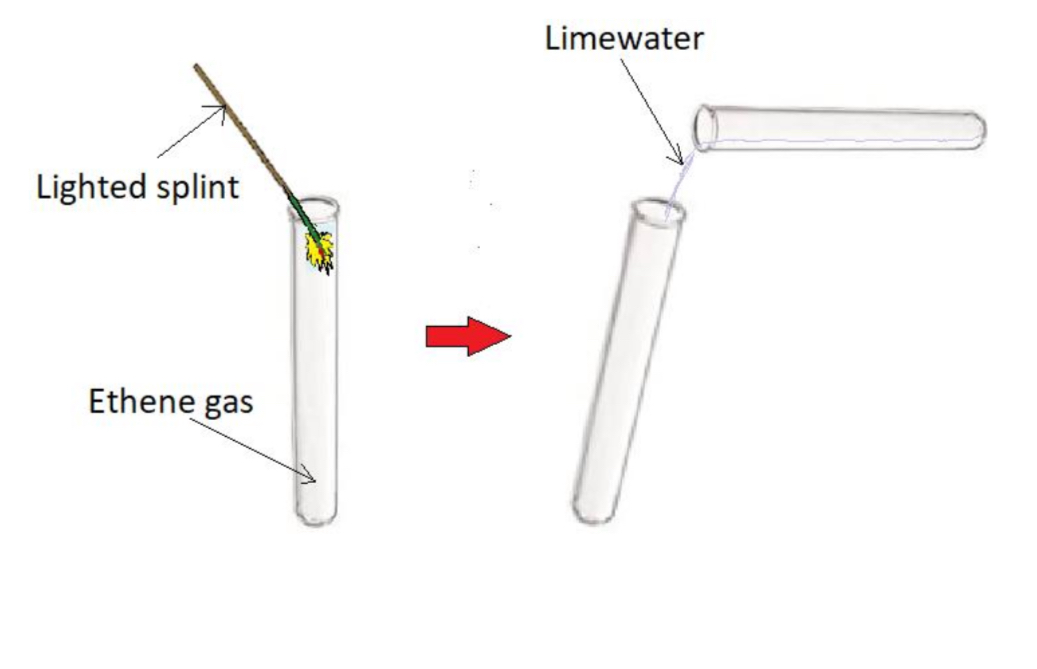 <p><u>Procedure:</u></p><p>- Place a lighted splint into a test tube of ethene gas</p><p>- Add limewater to the test tube, stopper and shake</p><p><u>Result:</u></p><p>- Ethene <strong>burns</strong> with a <strong>bright yellow flame</strong></p><p>- <strong>Limewater</strong> turns <strong>milky white</strong> proving <strong>carbon dioxide was formed</strong> in the combustion</p>