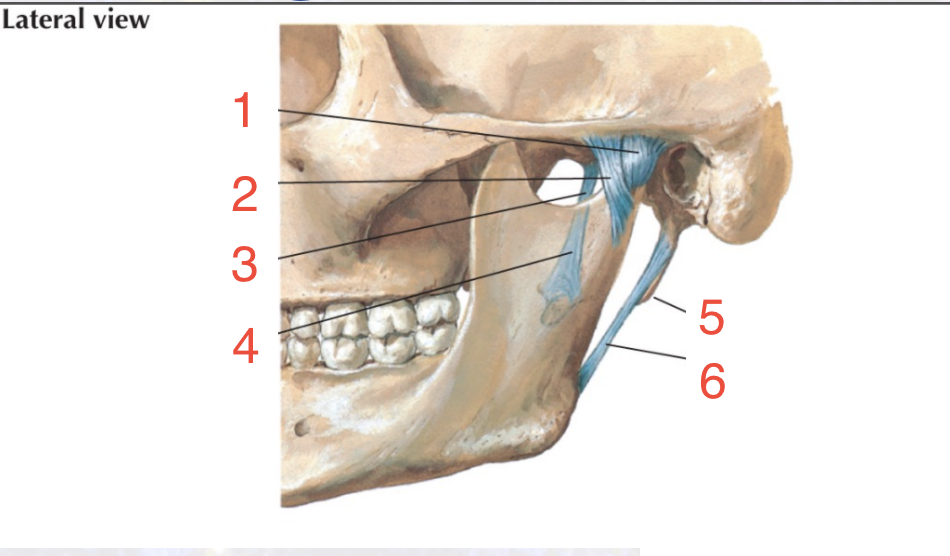 <p>4</p>