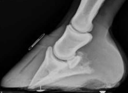 <p>what is this condition</p>