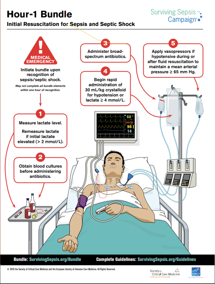 <p><strong>Our Priorities</strong>:</p><ol><li><p>Obtain lactate level</p></li><li><p>Obtain blood cultures x2 (from two different sites, aerobic + anaerobic—so technically 4)</p></li><li><p>Administer fluids</p></li><li><p>Administer broad spectrum antibiotics</p></li><li><p>Administer vasopressors if needed</p></li><li><p>Constantly reassess</p></li></ol><p></p>