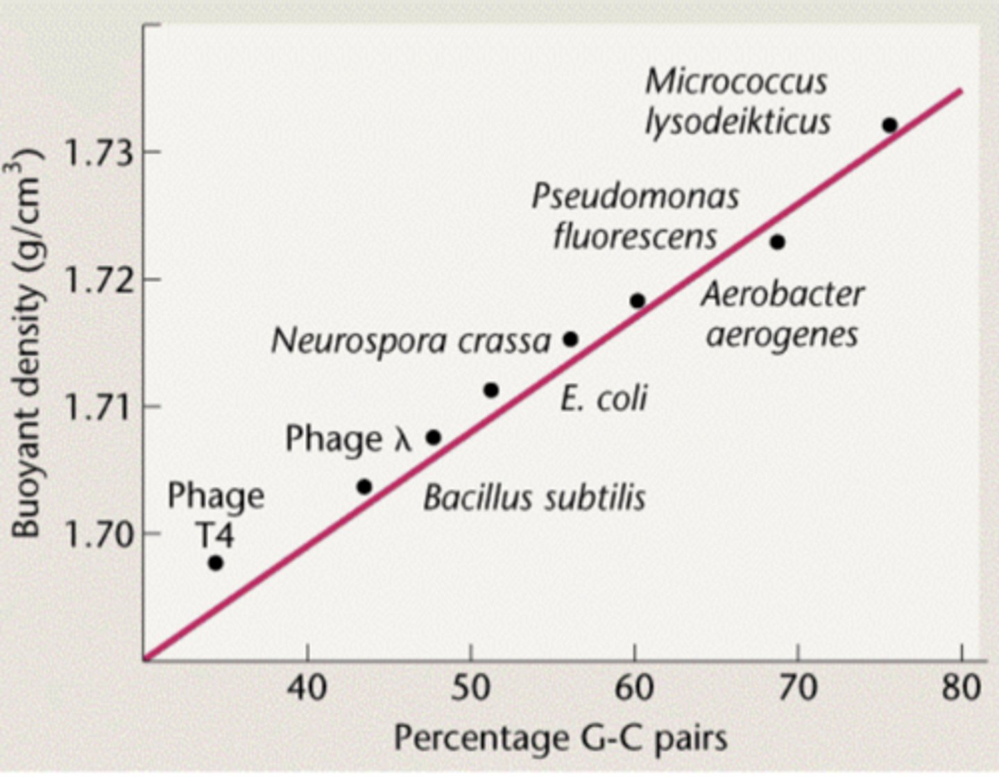 <p>G+C %</p>