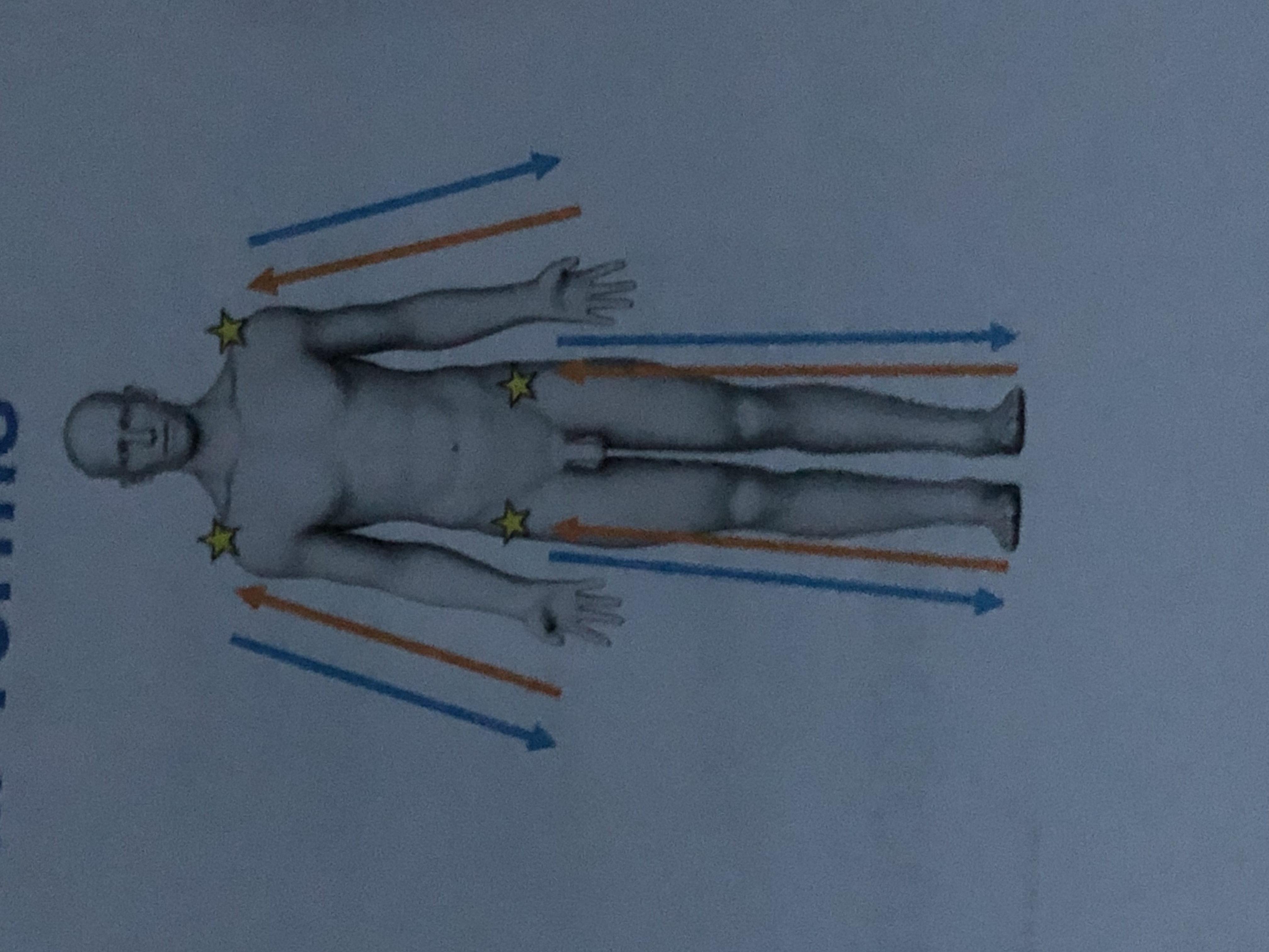 <p>Closer to the point where a limb attaches to the body</p><p>Ex. The elbow is ______ to the wrist</p>