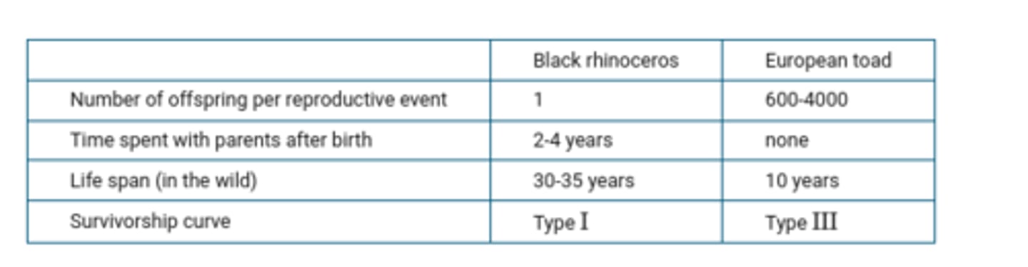 <p>D</p><p>The black rhino is a KK-selected species because it has a low number of offspring per reproductive event.</p>