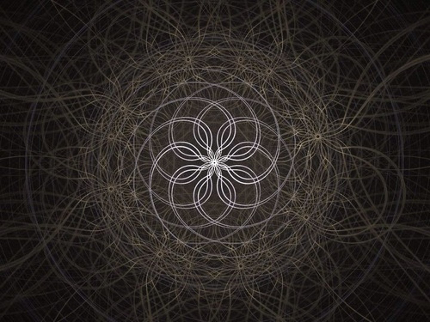 <p>Feinheiten (= subtleties)</p>
