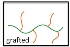 <p>What do the different colors in a grafted polymer structure mean?</p>