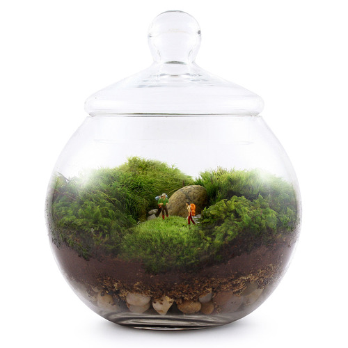 An ecosystem in which no materials can leave or enter, but through which energy from external sources can flow.