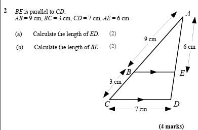 term image