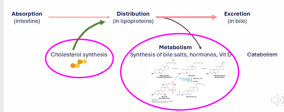 <p>DIAGRAM ON SLIDE 3</p>