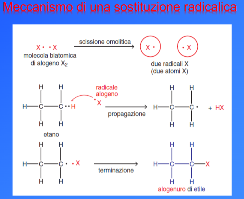 <p>Sono poco reattivi ma possono reagire ad alta temperatura:</p><ul><li><p>Combustione/ossidazione → alcano + O<sub>2</sub> = CO<sub>2</sub> H<sub>2</sub>O. C passa da numero di ossidazione -4 a +4. In carenza di ossigeno combustione incompleta = formazione di monossido di carbonio (numero di ossidazione +2)</p></li><li><p>Sostituzione/alogenazione radicalica → reazione con meccanismo radicalico (radicale = dopo rottura di legame covalente, un elettrone spaiato, molto instabili e reattivi), H sostituito da X (allogeno) → alcano + X<sub>2</sub> = alogeneuro (radicale alchilico legato a allogeno) + HX</p></li><li><p>Deidrogenazione → rimozione di idrogeno: alcani = idrocarburi insaturi (alcheni e alchini) + H<sub>2</sub></p></li></ul><p></p>