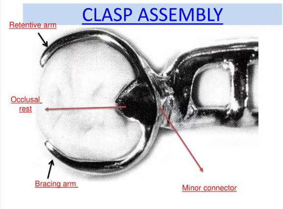 <p>Describe occlusal rest arm </p>