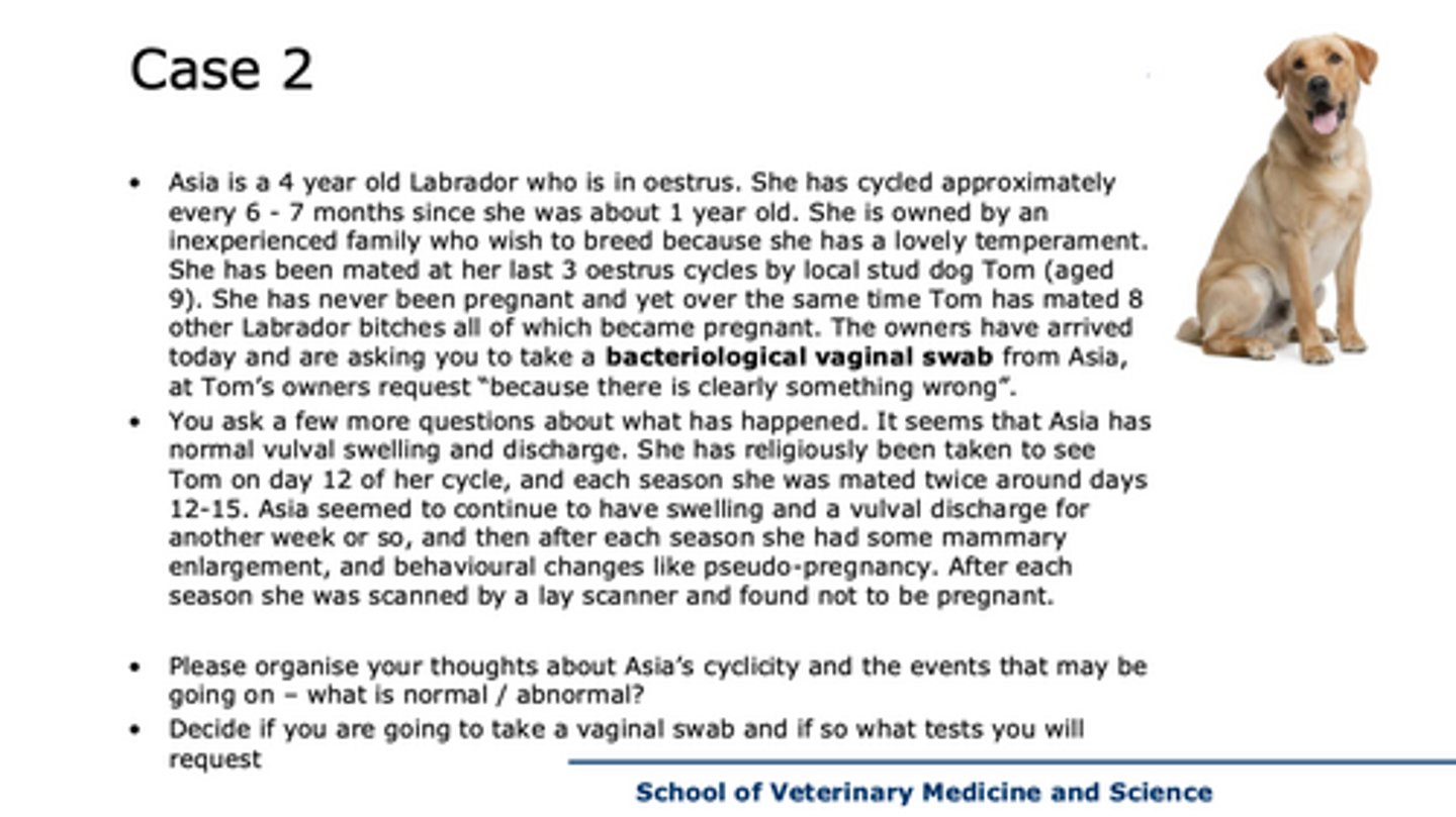 <p>case 2 - what is normal/ abnormal about asia's cyclicity</p>