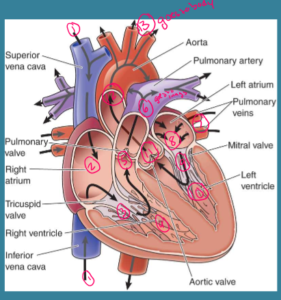 <p>What is this?</p>