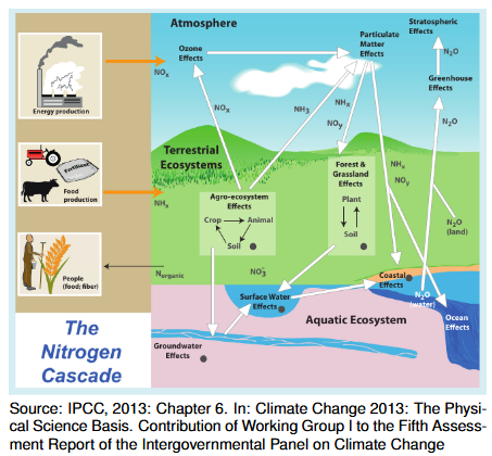 <p>Natural source: Emission from soils under natural vegetation</p><p>Anthropogenic sources: Agricultural activity&nbsp;</p>