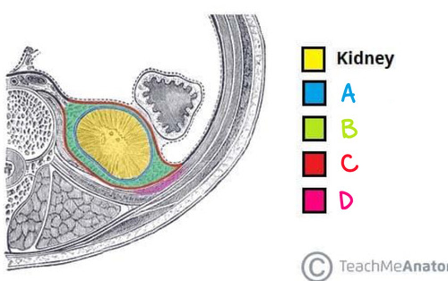 <p>What is D on the diagram?</p>