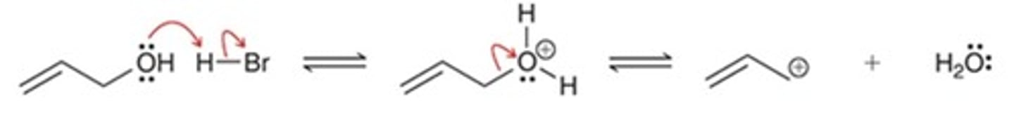 <p>What type of reaction steps are represented below?</p><p>loss of a leaving group, followed by loss of a leaving group</p><p>proton transfer, followed by loss of a leaving group</p><p>nucleophilic attack, followed by proton transfer</p><p>proton transfer, followed by nucleophilic attack</p>