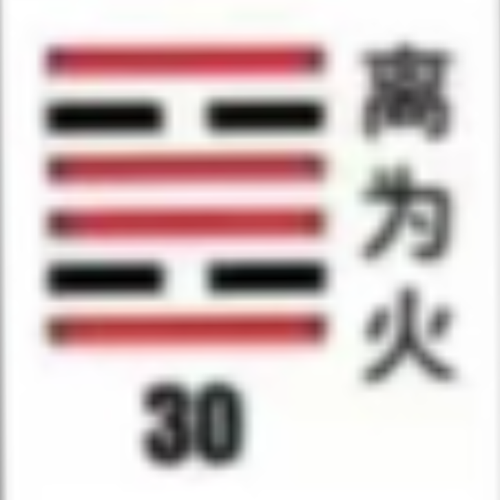 <p><strong>离为火(离卦)</strong></p>