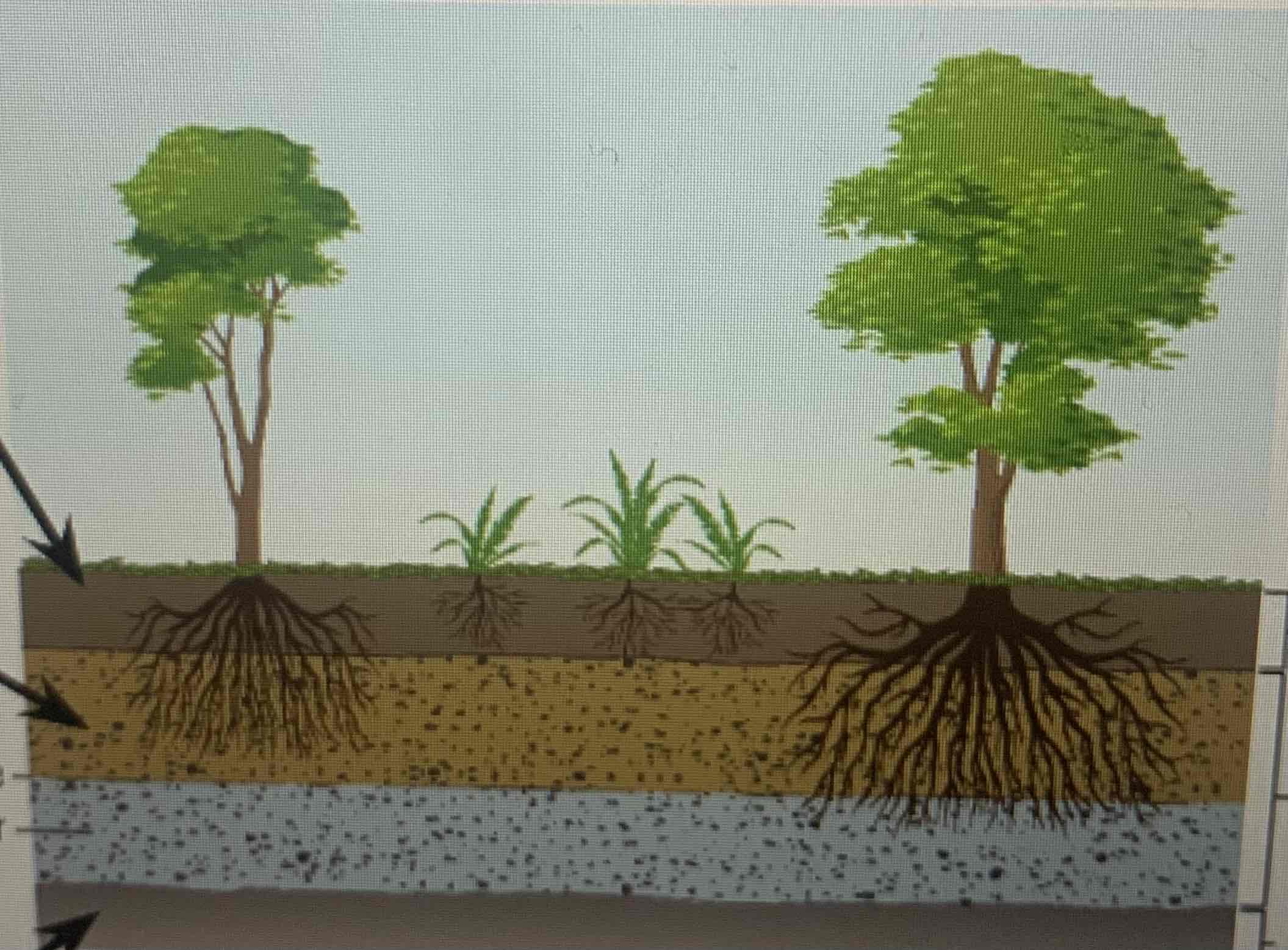 <p>What are the three layers of soil</p>