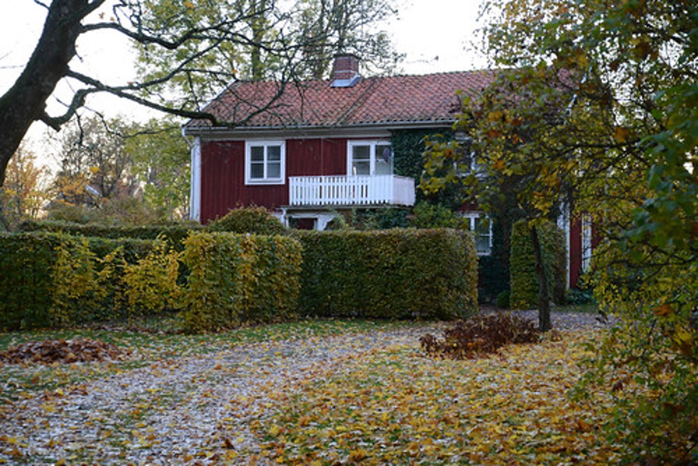 <p>They have a beautiful home.</p>