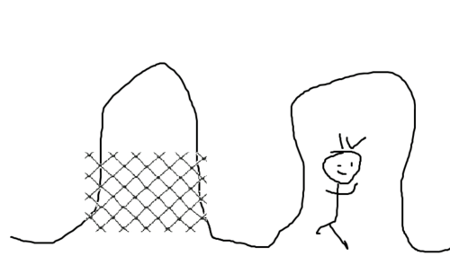 <p>kolagen IV, włókna siateczkowe</p>