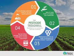 <p><span>a cycle where pests develop resistance to pesticides, forcing farmers to use increasingly stronger and more toxic chemicals to control them, ultimately leading to further resistance</span></p>