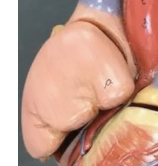 <p>What is this..</p>