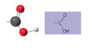 <p>The carboxyl structure may be written as __ .</p>