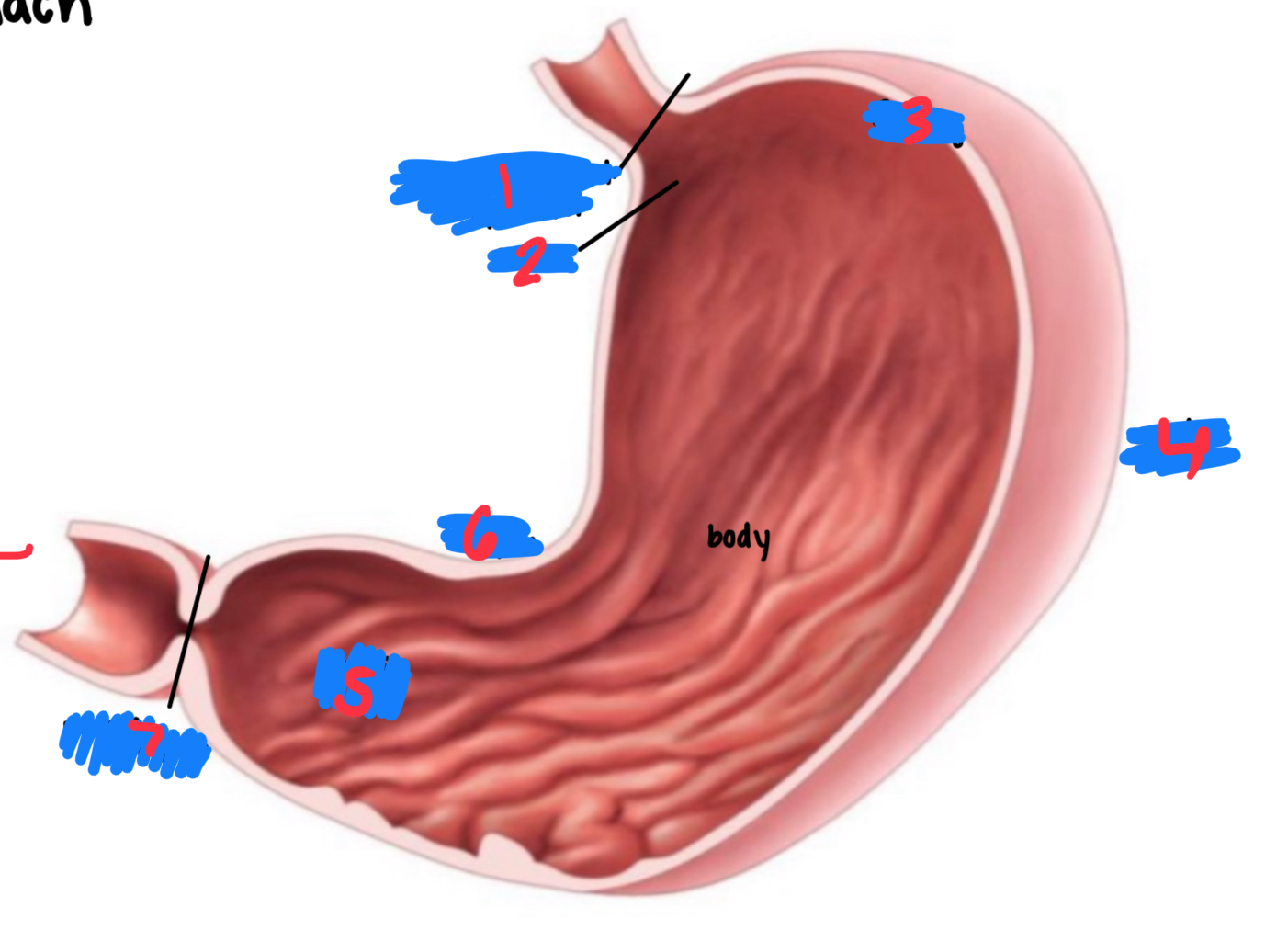 <p>3</p>