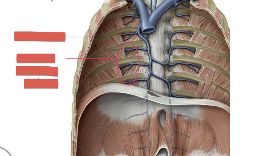 <p>Fill in the blank </p>