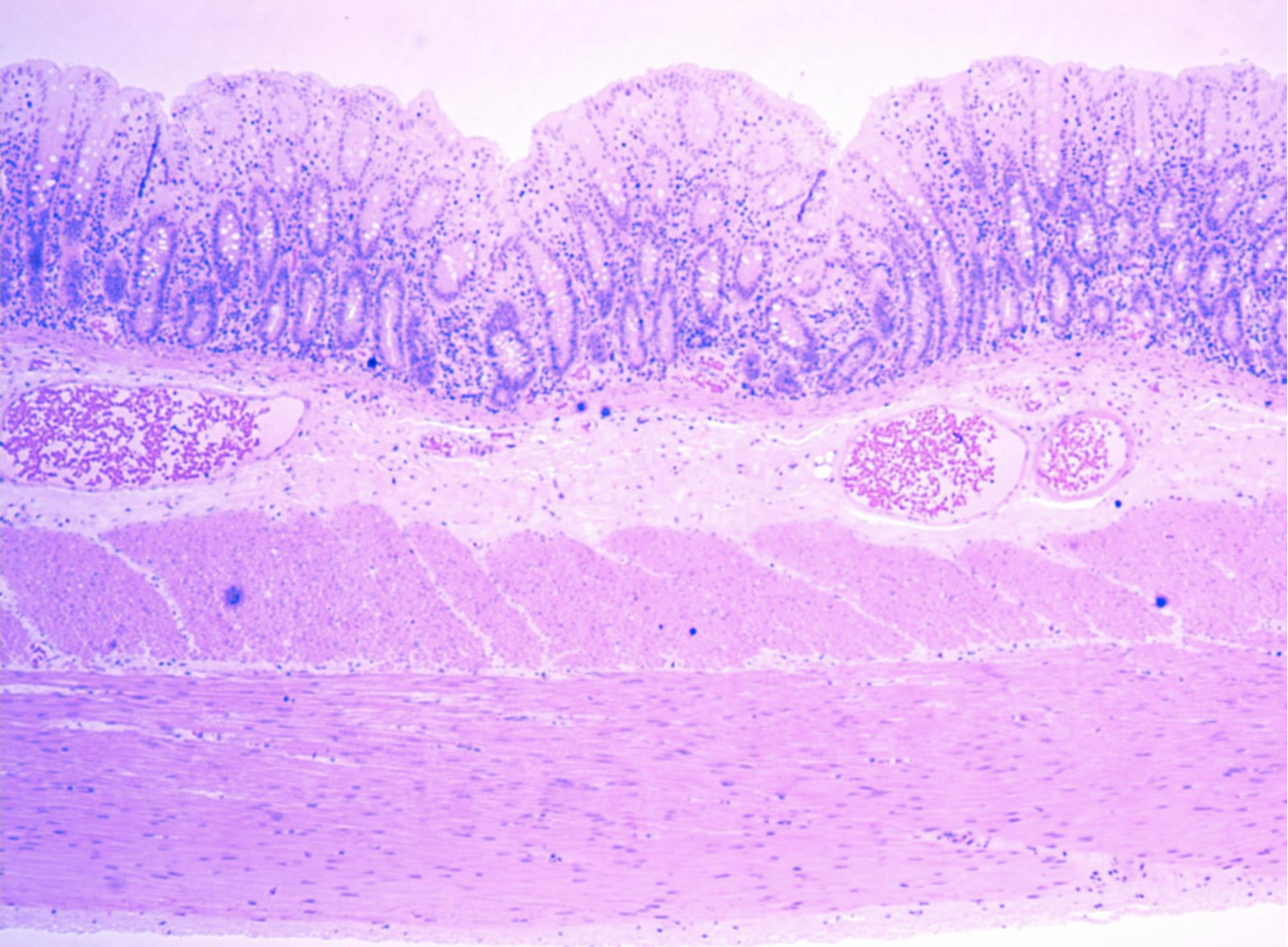 <p>ID the structure</p>