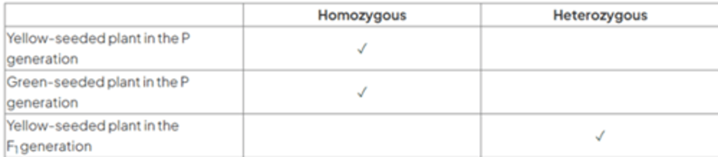 <p>The completed table is as follows:</p>