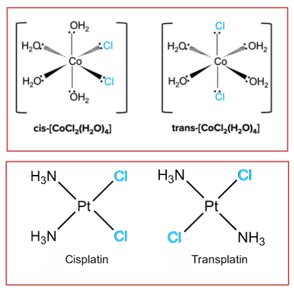 <ul><li><p>Even though transition element complexes do not have a <strong>double bond</strong>, s<strong>quare planar </strong>and <strong>octahedral </strong>complexes with <strong>a pair</strong> <strong>of </strong>ligands different from the rest exhibit cis-trans isomerism</p></li><li><p>If the <span>two ‘different’ ligands are next to each other, it is the </span>cis<span> isomer</span></p></li><li><p><span>If they are opposite each other it is the </span>trans<span> isomer</span></p></li><li><p>Eg. Cis-platin is an anti-cancer drug with a square planar shape </p></li></ul><p></p>