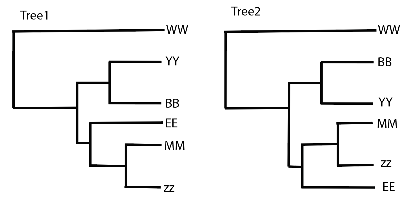 <p>T/F - <span>The trees 1 and 2 in the example below are showing the same relationships among the different taxa.</span></p>