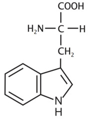 W, nonpolar