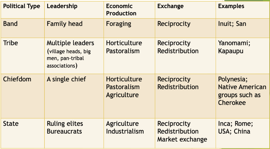 <ul><li><p>Bands</p></li><li><p>tribe</p></li><li><p>Chiefdom</p></li><li><p>State</p></li></ul><p>Bands, tribes, and chiefdoms also survived into modern times and exist in minder nation-states</p><p></p>