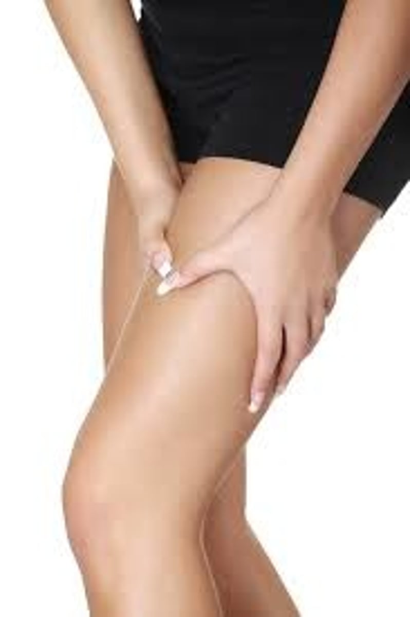 <p>thigh</p>
