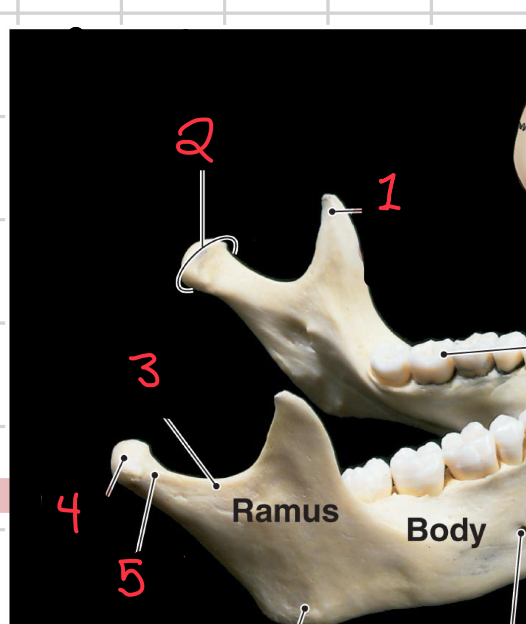 <p>Define 1-4 </p>