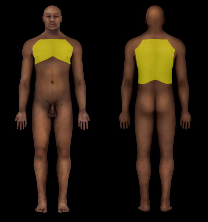 term image