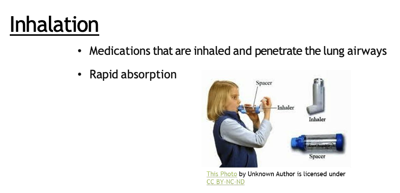 <p><span><span>•</span></span><span style="font-family: "Trebuchet MS";"><span>Medications that are</span><strong><span> inhaled and penetrate the lung airways</span></strong></span></p><p><span><span>•</span></span><span style="font-family: "Trebuchet MS";"><span>Rapid absorption</span></span></p>